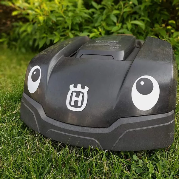 Eyes for auto lawn mowers