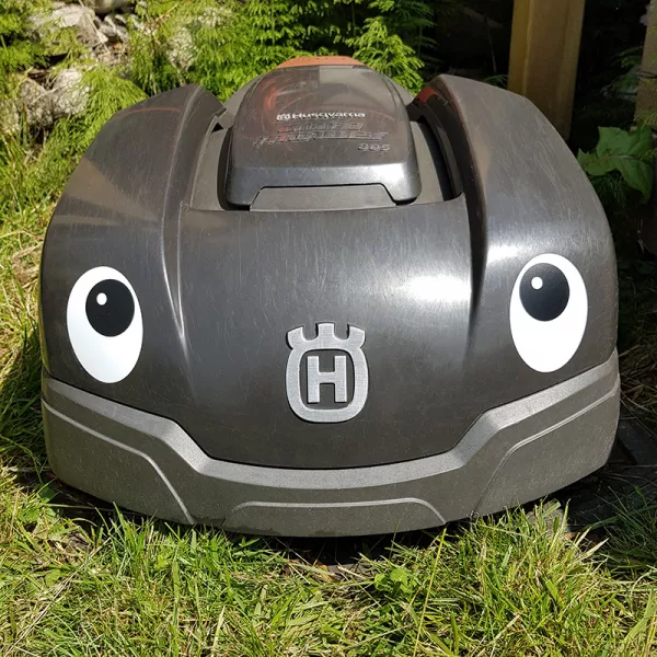 Auto lawn mower with eyes