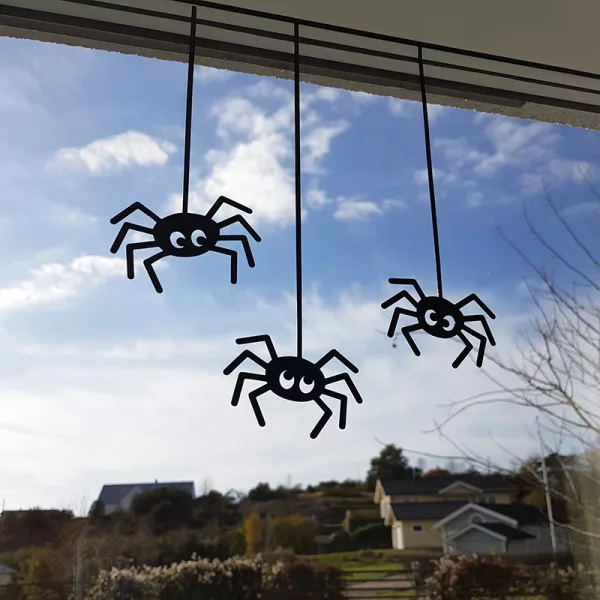 Spindelsällskap i fönstret