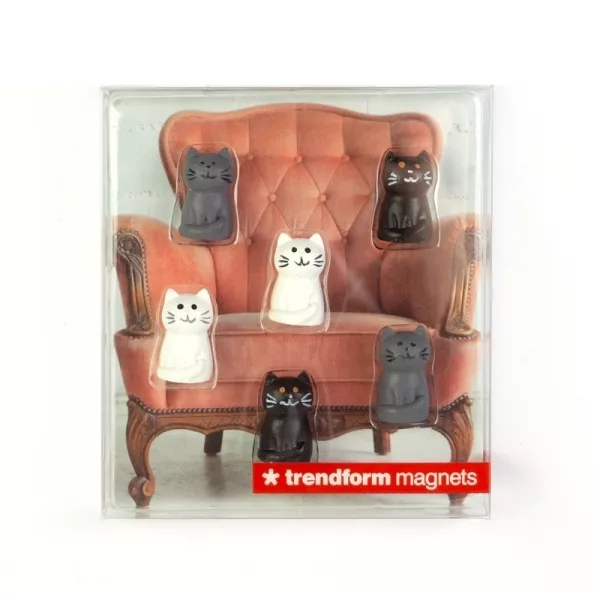 Magnetkatter - Bild 2