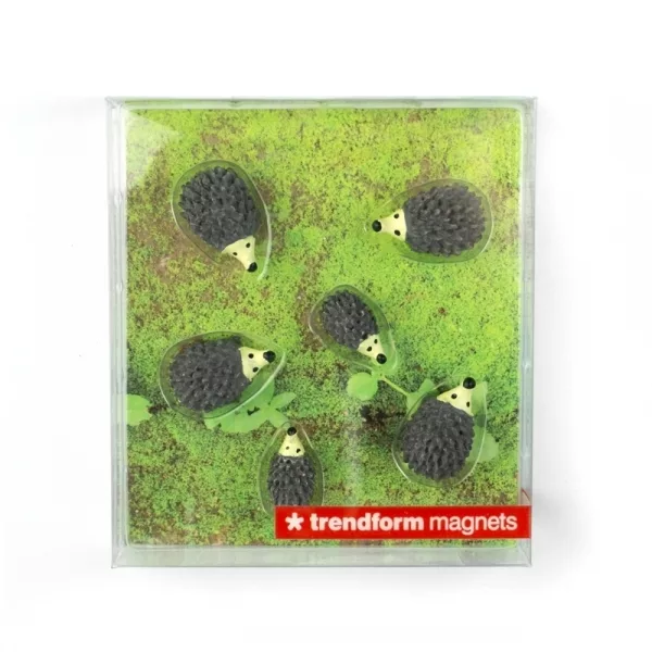 Magnetigelkottar - Bild 2